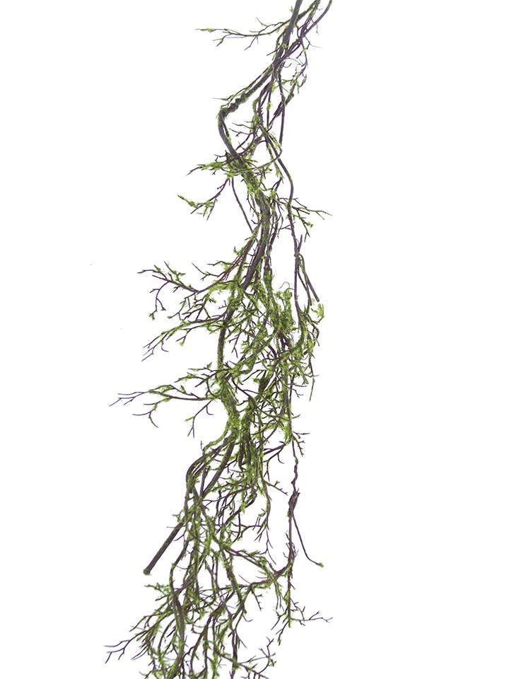 5' Mossy Vine Branch