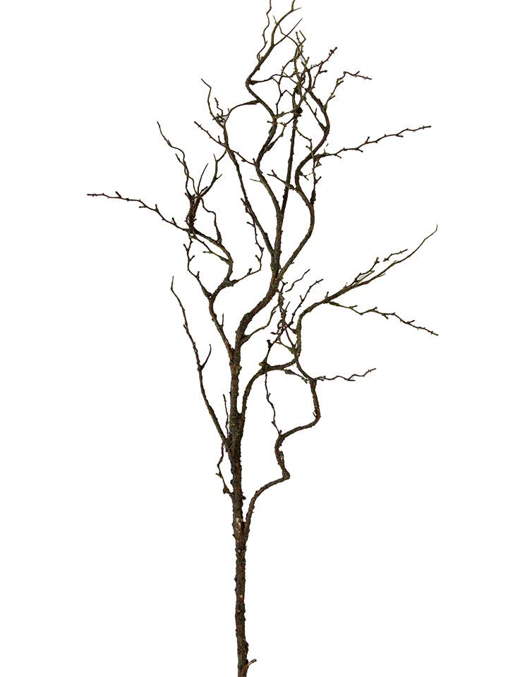 36" Twig Branch