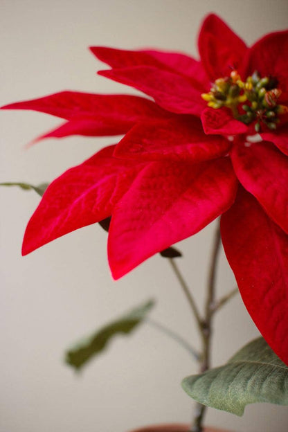 ARTIFICIAL POINSETTIA IN A CEMENT POT - RED