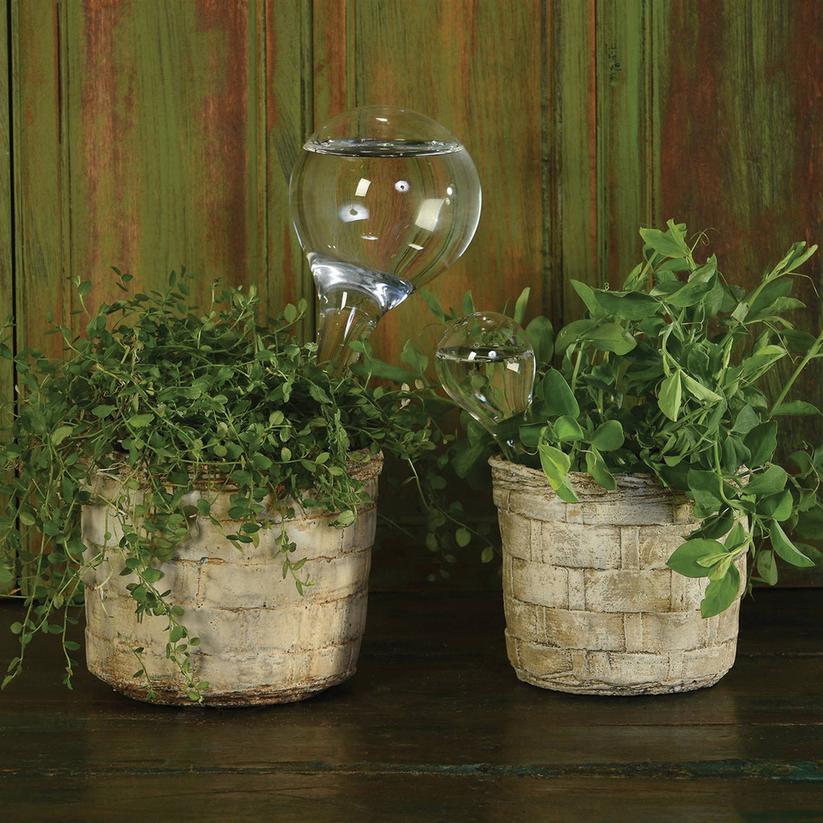 Garden Water Ball - Large