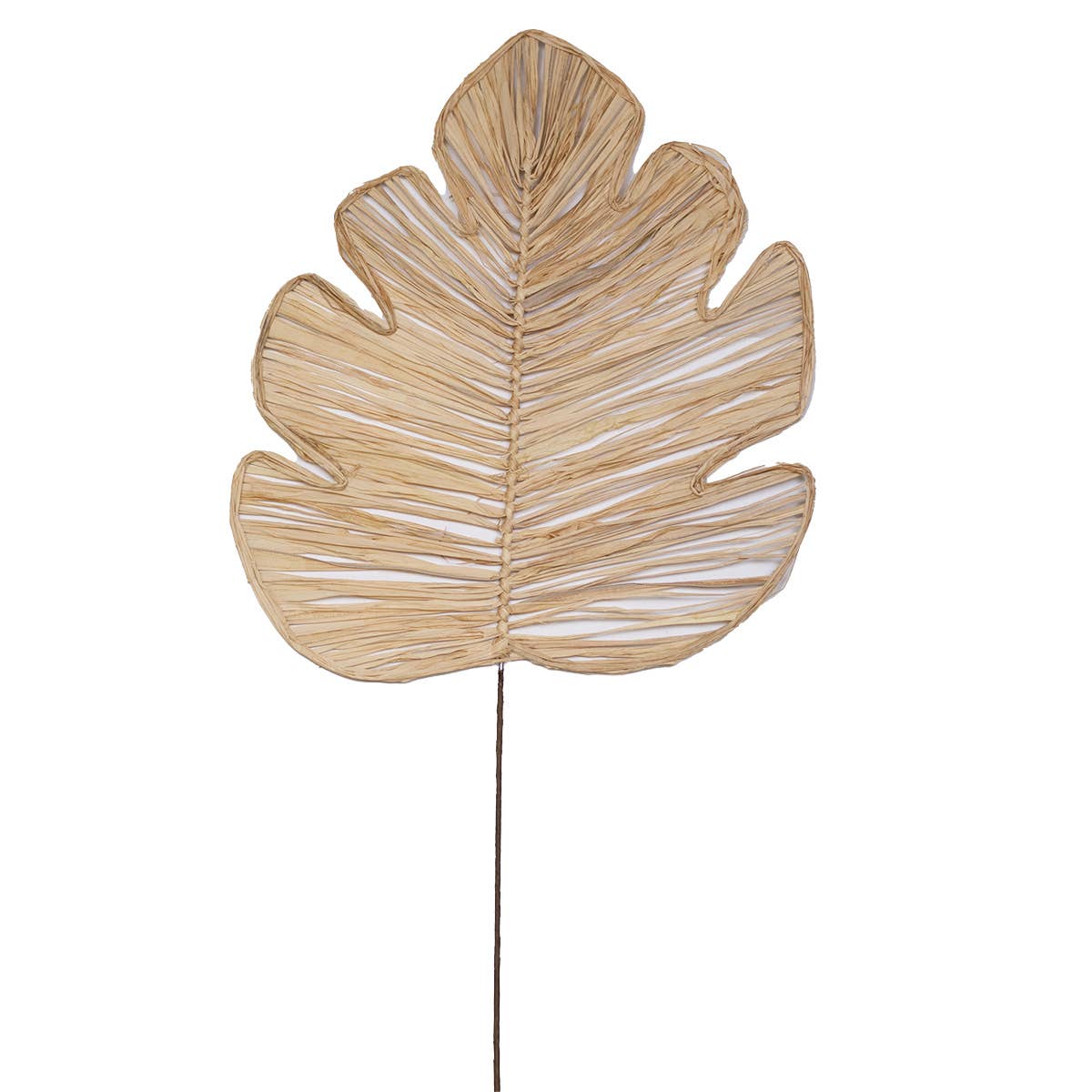 Ridgeview Palm Décor   Natural   13.5x36