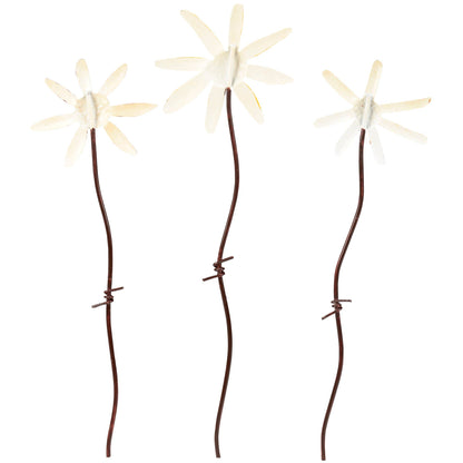 Daisies Pick Set