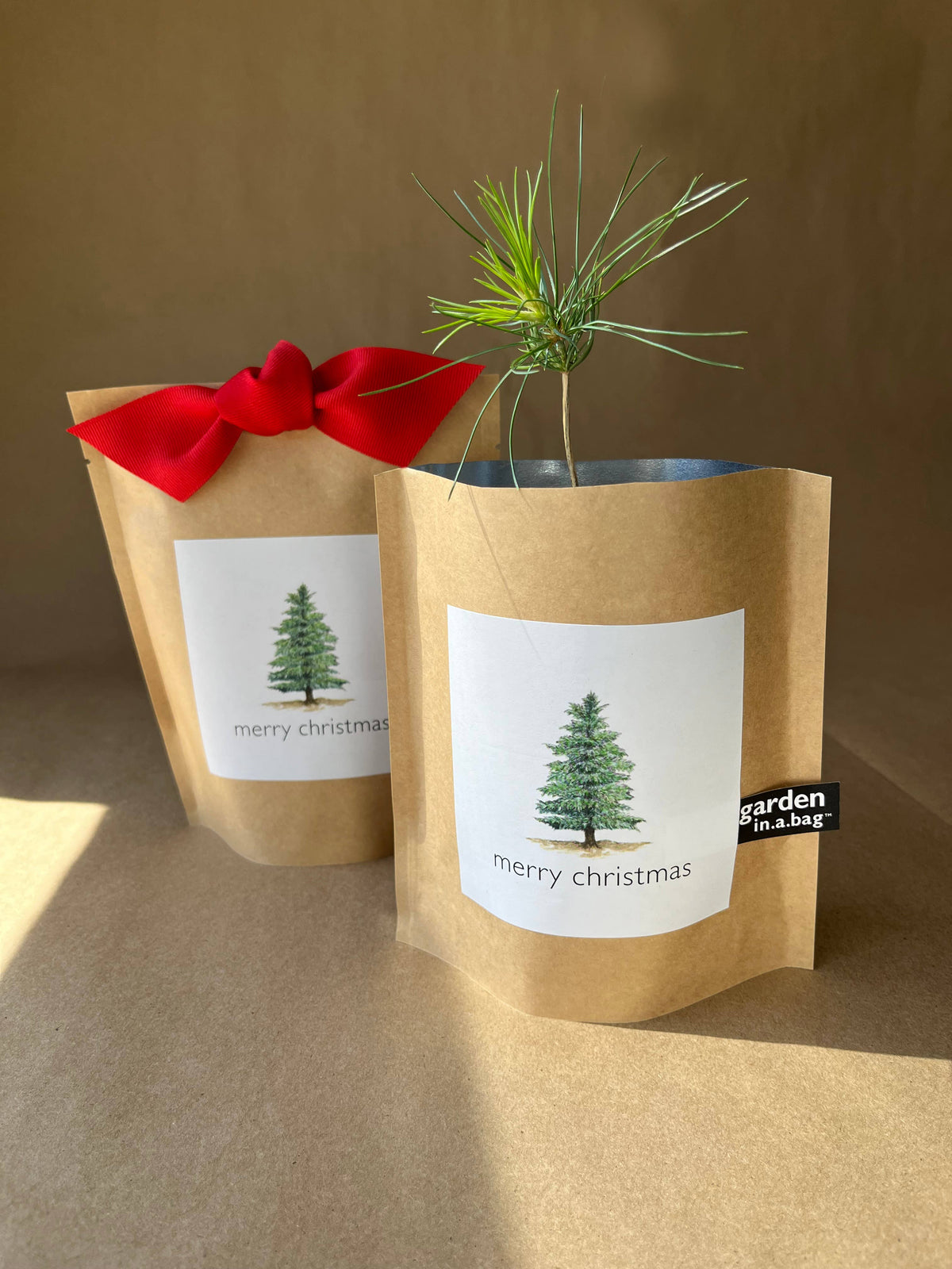 Garden in a Bag Christmas Tree | Holiday