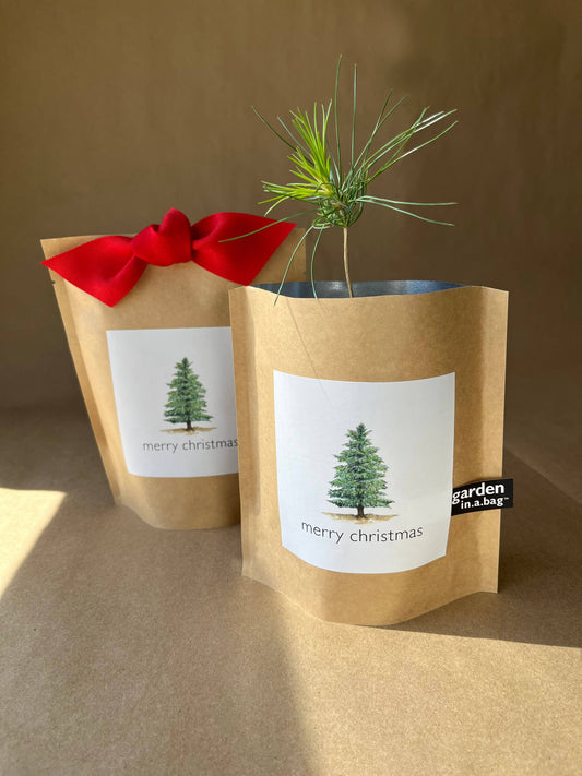 Garden in a Bag Christmas Tree | Holiday