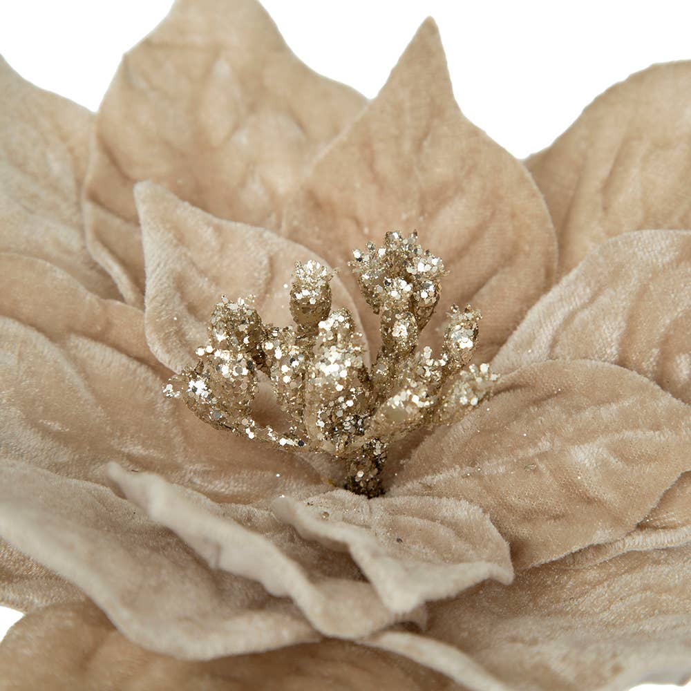 20" Velvet Poinsettia Stem - Champagne