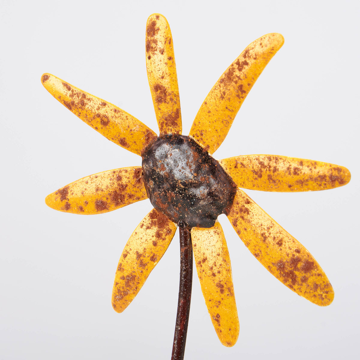 Daisies Pick Set