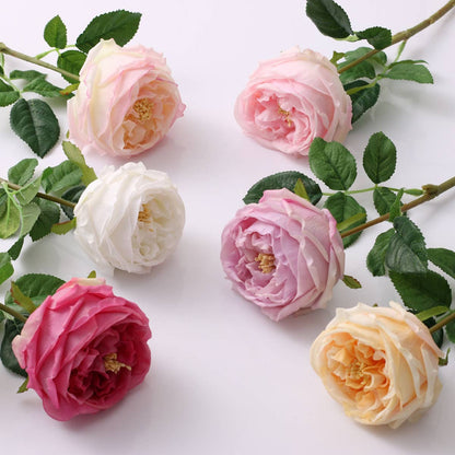 17"OR 24"Premium Real touch English Austin Cabbage Rose Stem