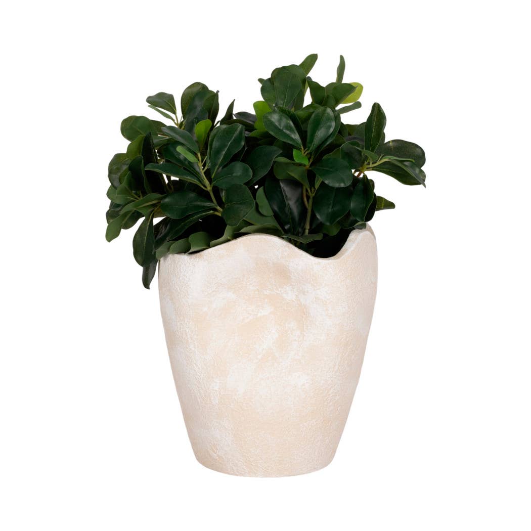 Decorative Ivory Ceramic Abstract Wavy Rim Vase