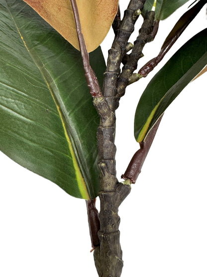 22"Ultra realistic Real Touch Magnolia Stem-10 leaves