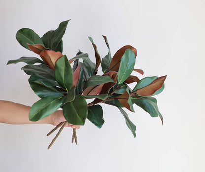 22"Ultra realistic Real Touch Magnolia Stem-10 leaves