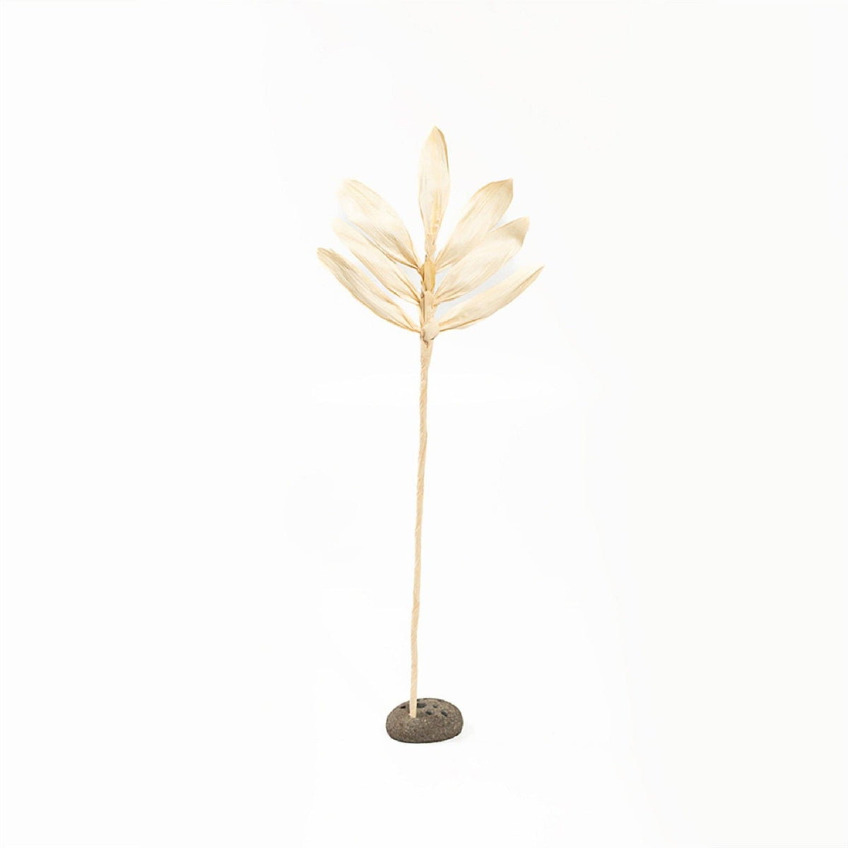 Palm Natural Decor