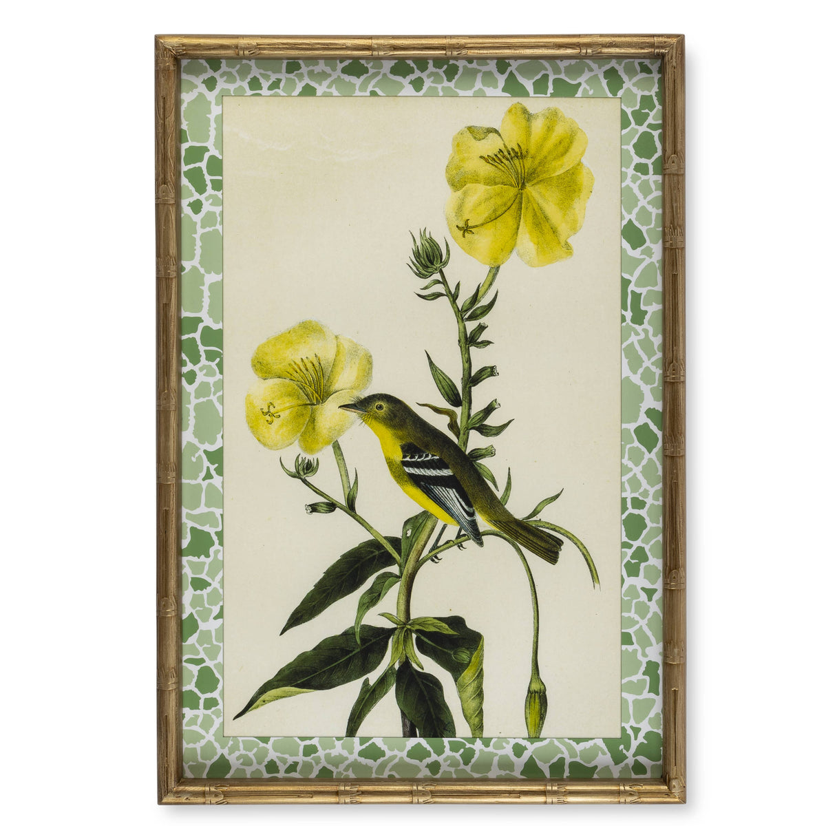 Framed Botanical Plant Art
