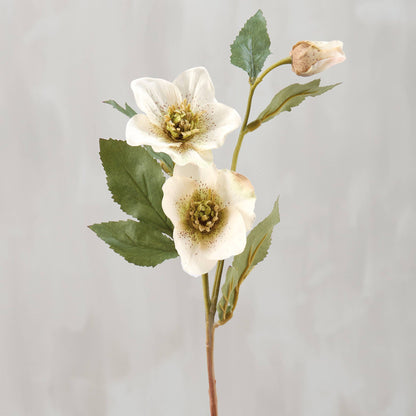 White Hellebore Floral Pick