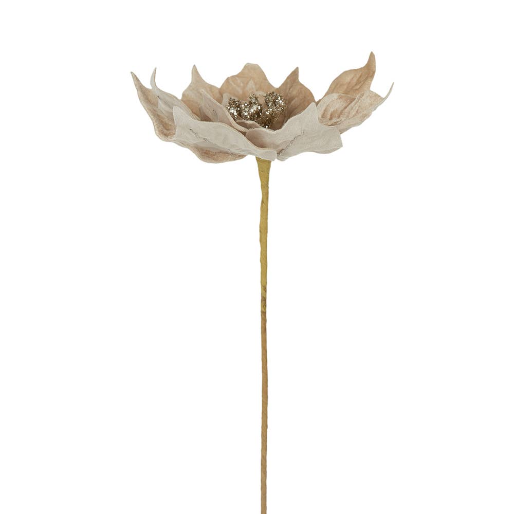 20" Velvet Poinsettia Stem - Champagne