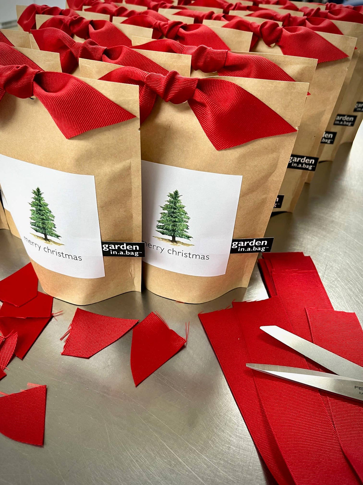Garden in a Bag Christmas Tree | Holiday