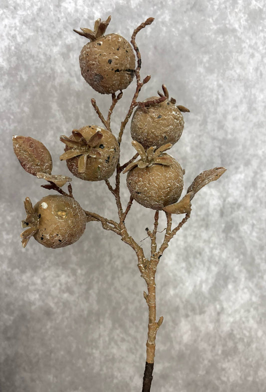 POMEGRANATE STEM 27.5″