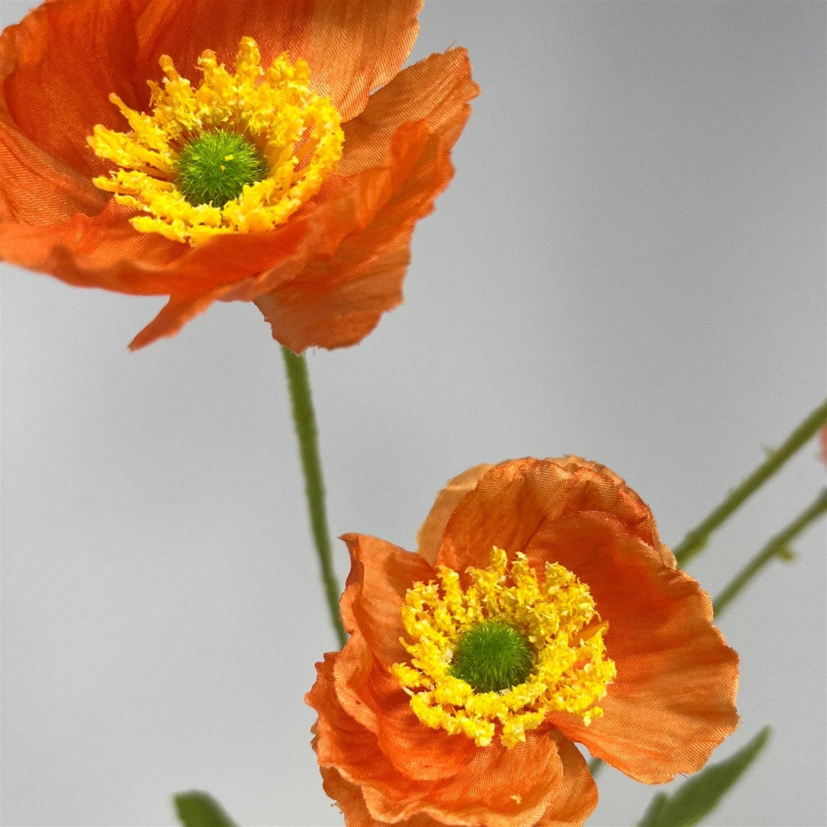 Mini Field Poppy Spray x4 - 23" - Orange