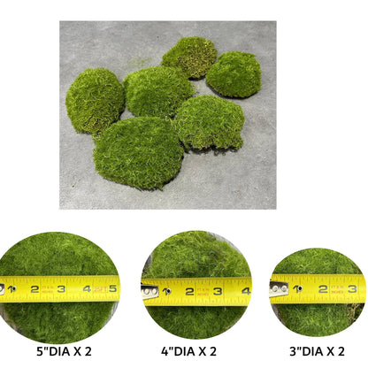 Pack of 6-Large Lifelike Mixed Sizes Artificial Moss pad