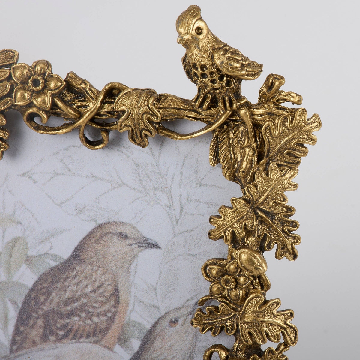 Bird Foliage Photo Frame (4x6)