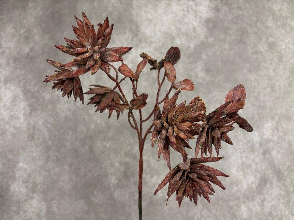 ROMEO SUCCULENT SPRAY 27.5"