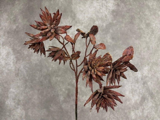 ROMEO SUCCULENT SPRAY 27.5"