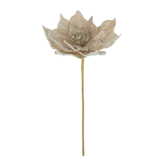 20" Velvet Poinsettia Stem - Champagne