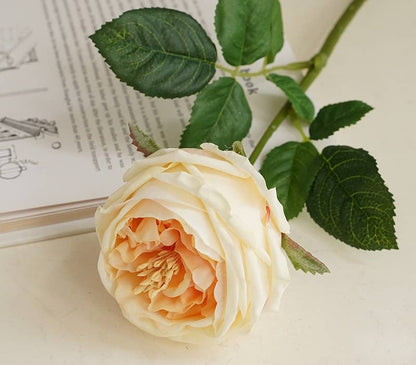 17"OR 24"Premium Real touch English Austin Cabbage Rose Stem