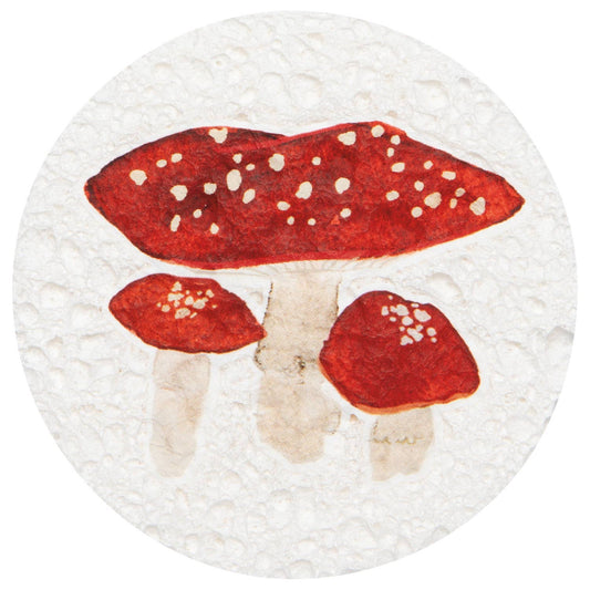 Autumn Bounty Sponge - Assorted